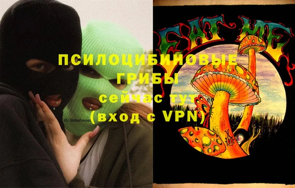 прущая мука Ладушкин