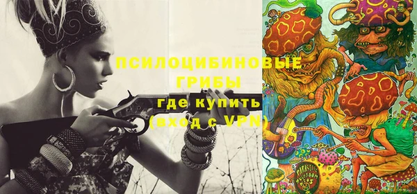 скорость Лагань