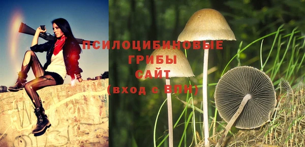 скорость Лагань