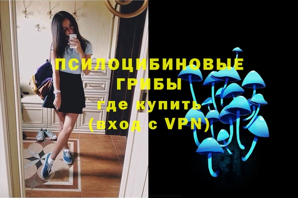 скорость Лагань