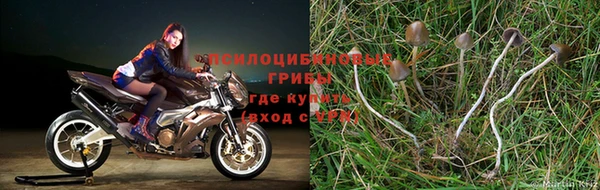 mdma Лабытнанги