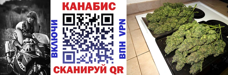 МАРИХУАНА план  даркнет какой сайт  Павловская  купить закладку  OMG ссылка 